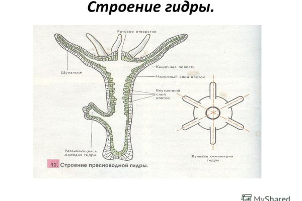 Кракен дарк сайт