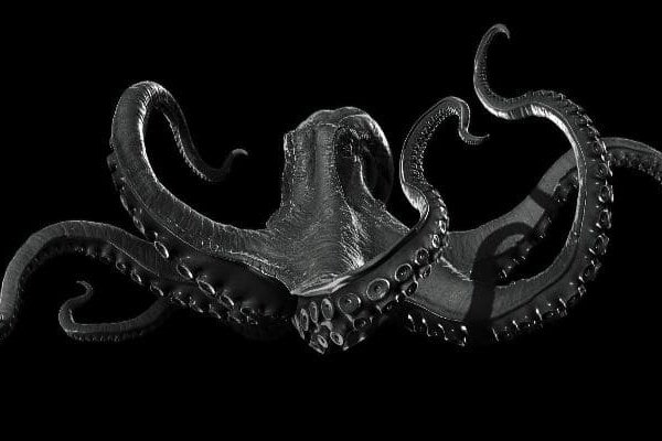 Kraken россия