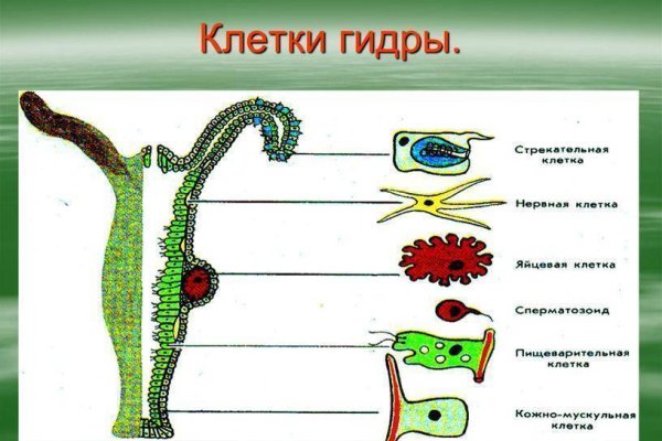 Кракен наркота что это