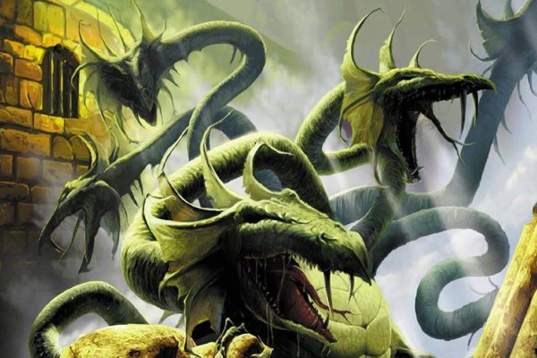 Kraken19 at