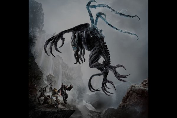 Kraken 20at net