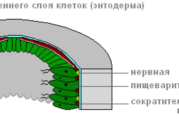 Кракен шоп нарк